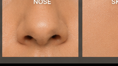 Nose structure closeup blueprint of Ghazaleh Ghasemi, Persian-Canadian bilingual master of ceremonies and motivational speaker in Toronto