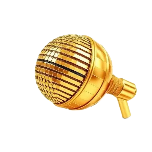 Golden sparkle microphone accent, bilingual master of ceremonies and motivational speaker, Toronto, Persian-Canadian